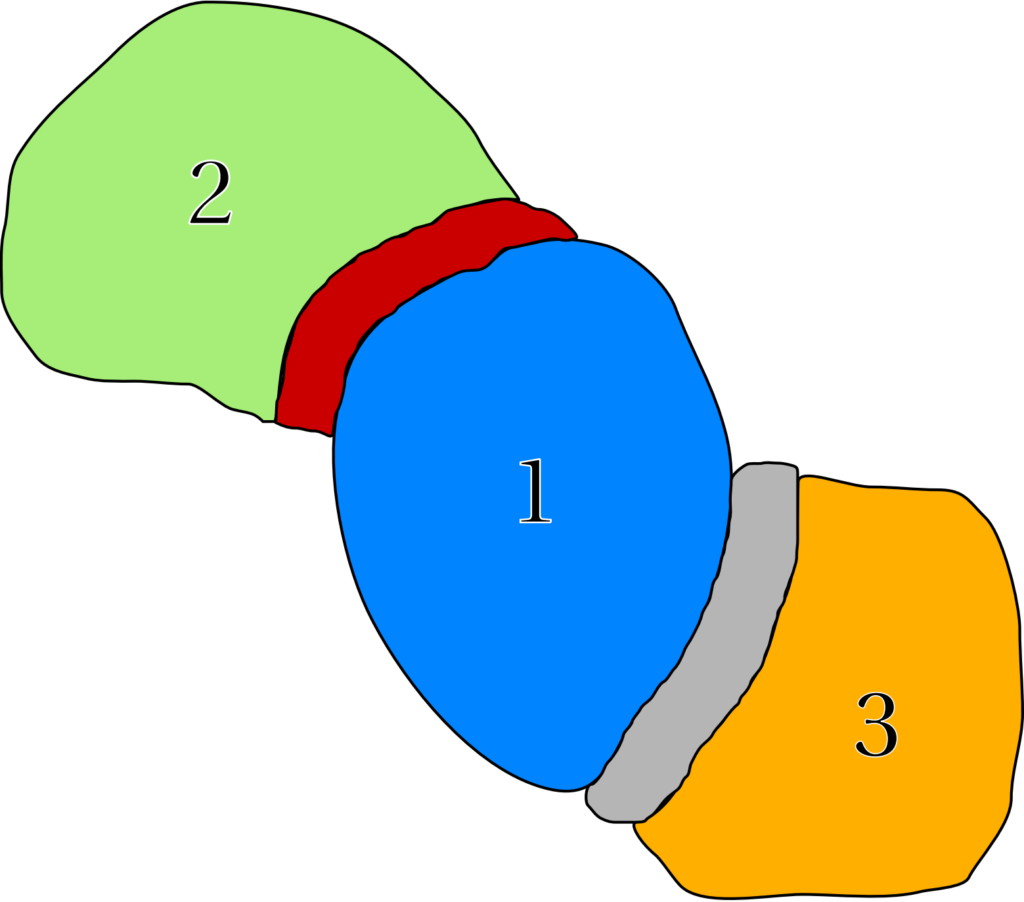 schematic assembly