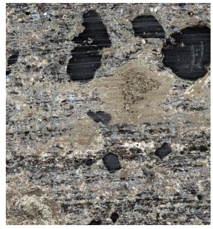 particle emission pad surface sample